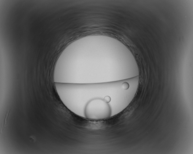 X0000086000469200704131809