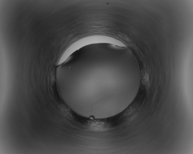 X0000086000471200704131809