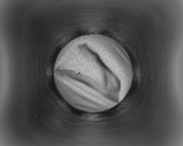 X0000086000472200704131809