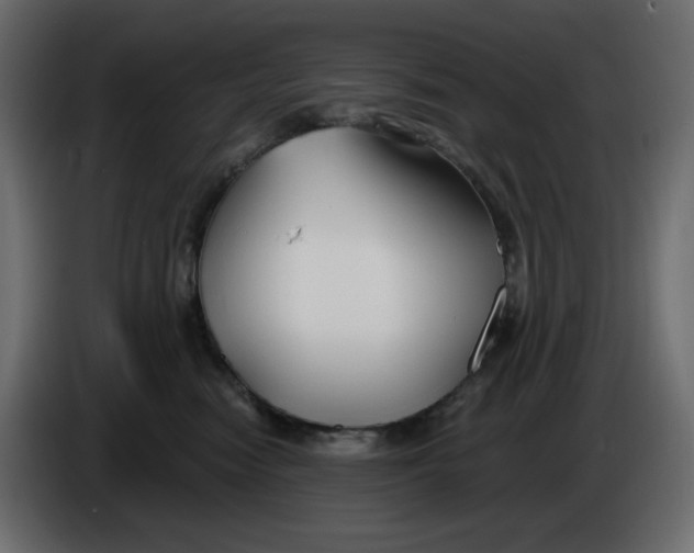 X0000086000474200704131809