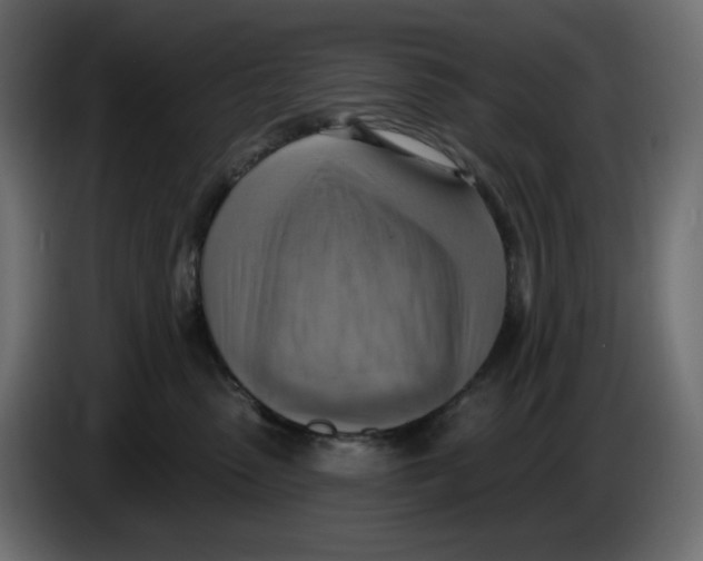 X0000086000475200704131809