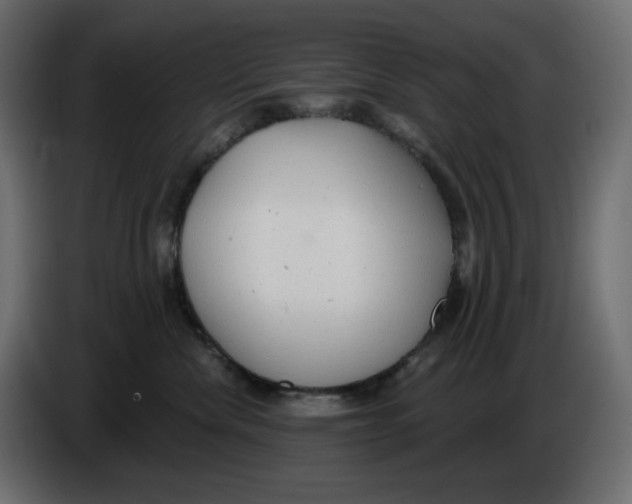 X0000086000476200704131809