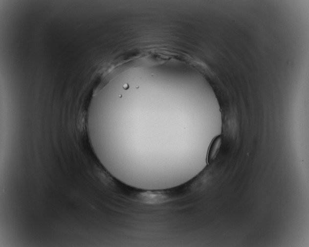 X0000086000477200704131809