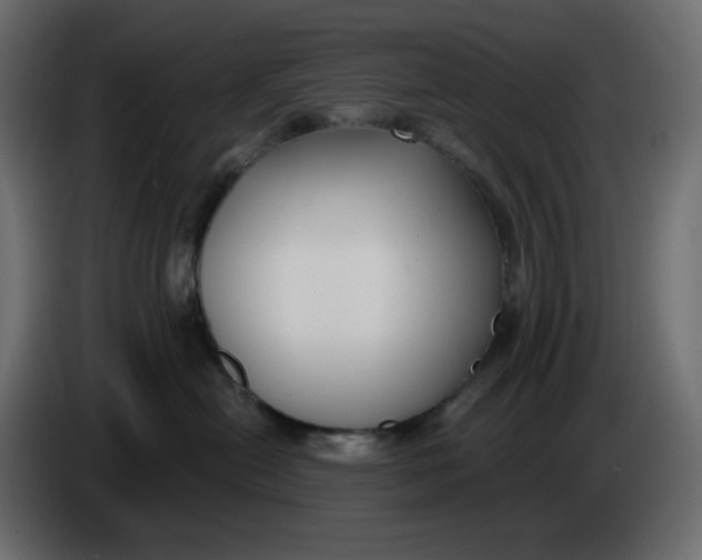 X0000086000478200704131809