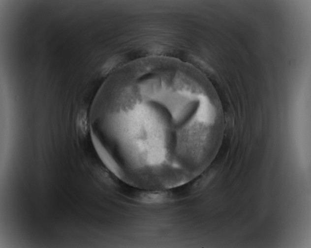 X0000086000479200704131809