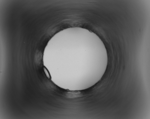 X0000086000480200704131809