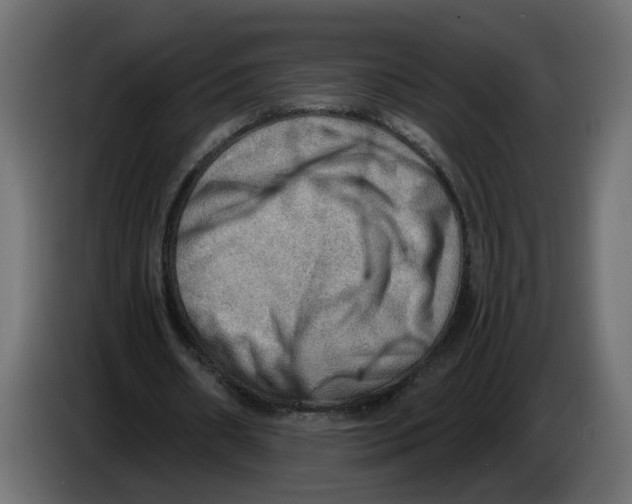 X0000086000482200704131808