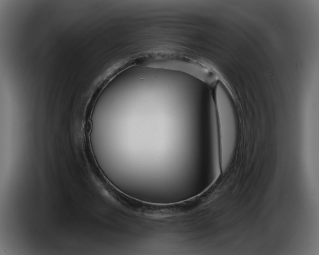 X0000086000485200704131808