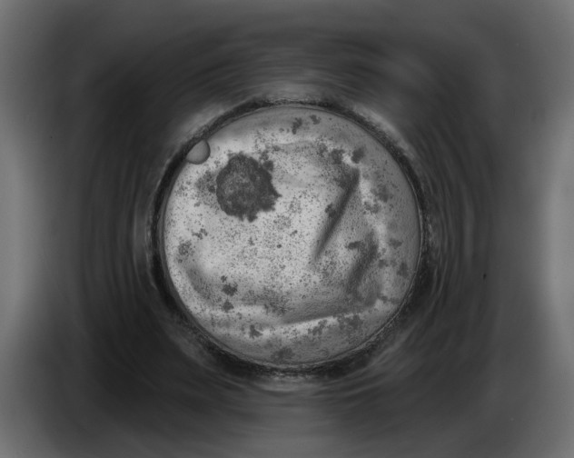 X0000086000487200704131808