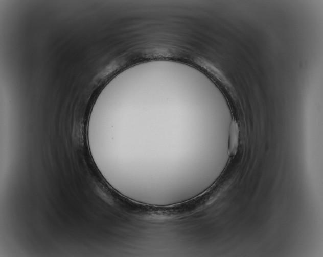 X0000086000489200704131808