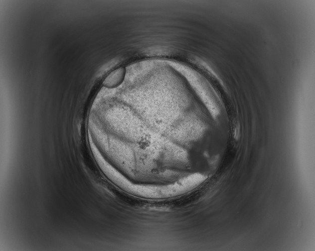 X0000086000491200704131808