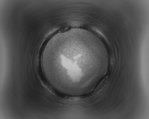 X0000086000492200704131808