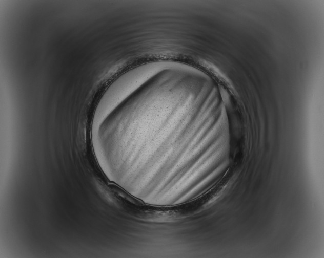 X0000086000493200704131808