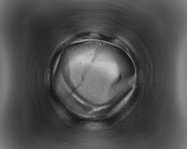 X0000086000494200704131808