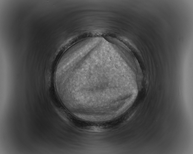 X0000086000496200704131808