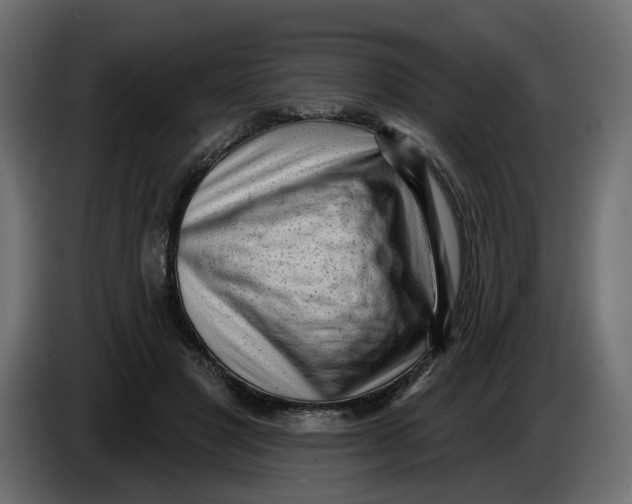 X0000086000501200704131808