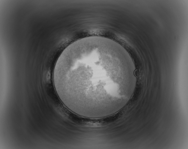 X0000086000502200704131808