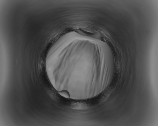 X0000086000503200704131808