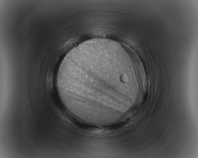 X0000086000504200704131808