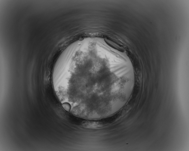 X0000086000507200704131808