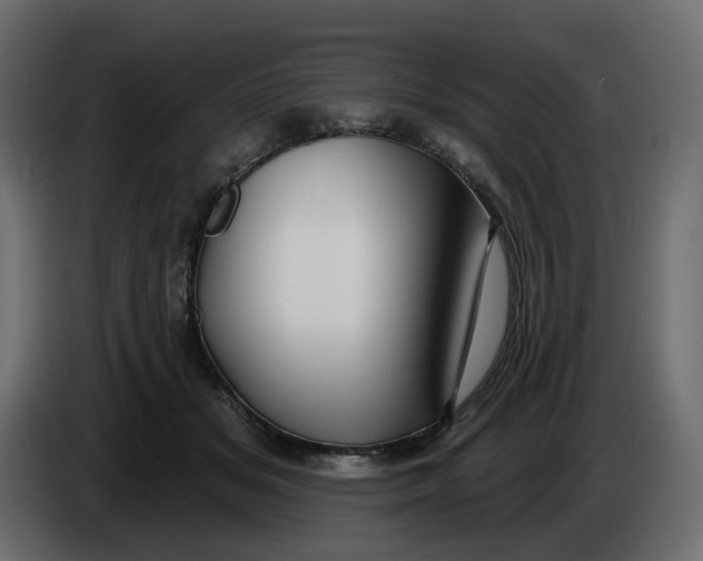 X0000086000509200704131808