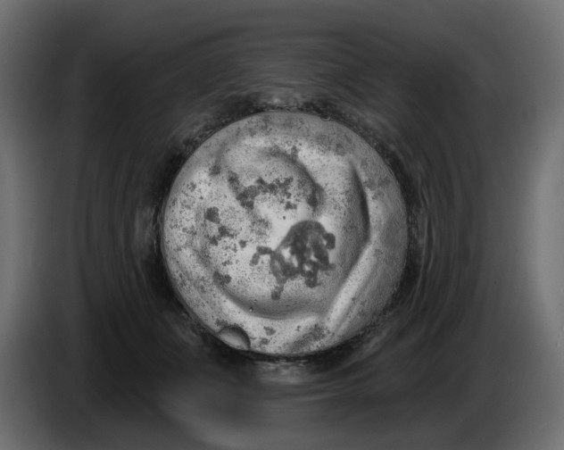 X0000086000511200704131808