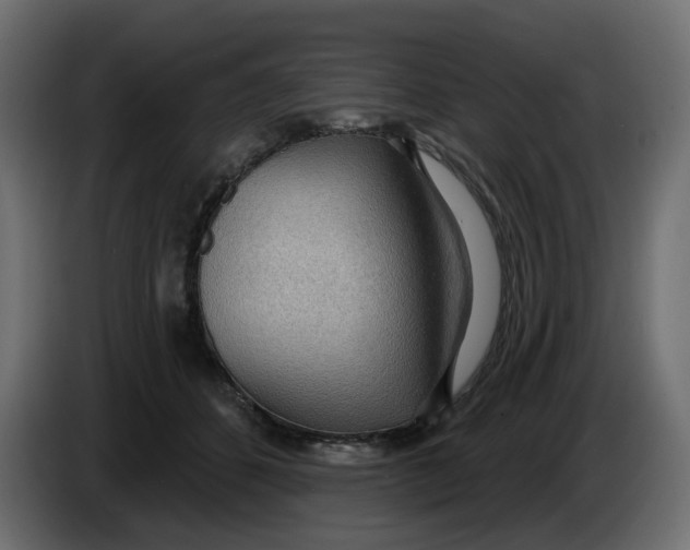 X0000086000512200704131808