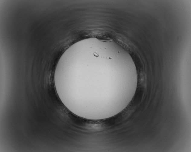 X0000086000514200704131808