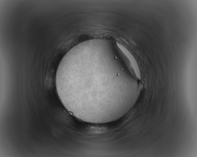 X0000086000515200704131808