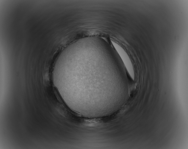 X0000086000516200704131808