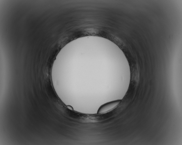 X0000086000518200704131808