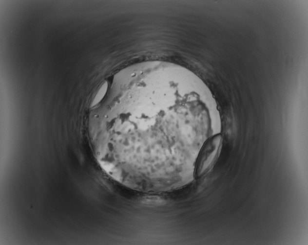 X0000086000519200704131808