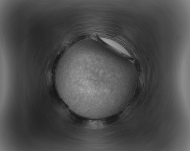 X0000086000520200704131808