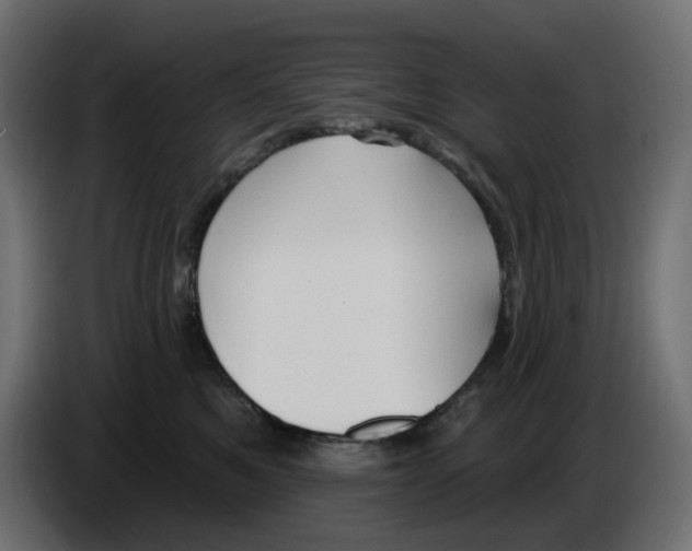 X0000086000521200704131808