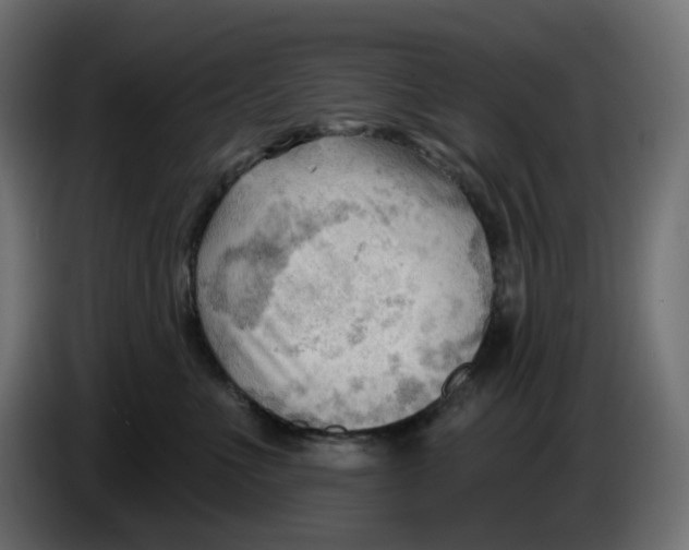 X0000086000523200704131808