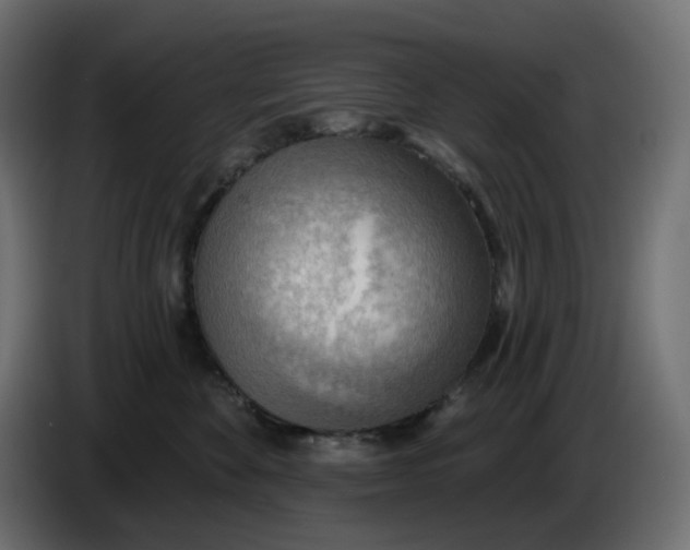 X0000086000524200704131808