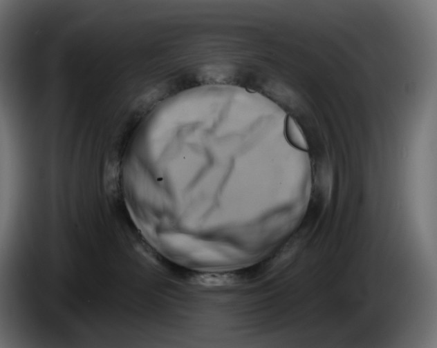 X0000086000526200704131808