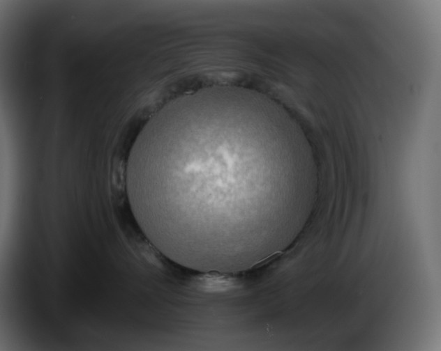 X0000086000528200704131808