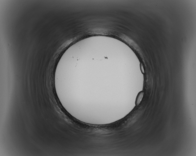 X0000086000529200704131807