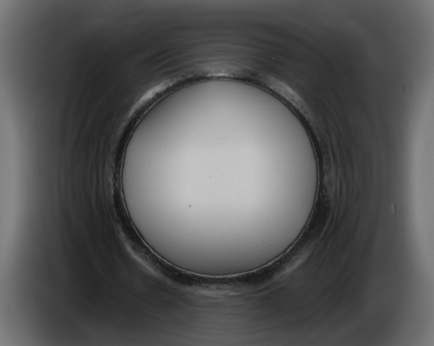 X0000086000530200704131807