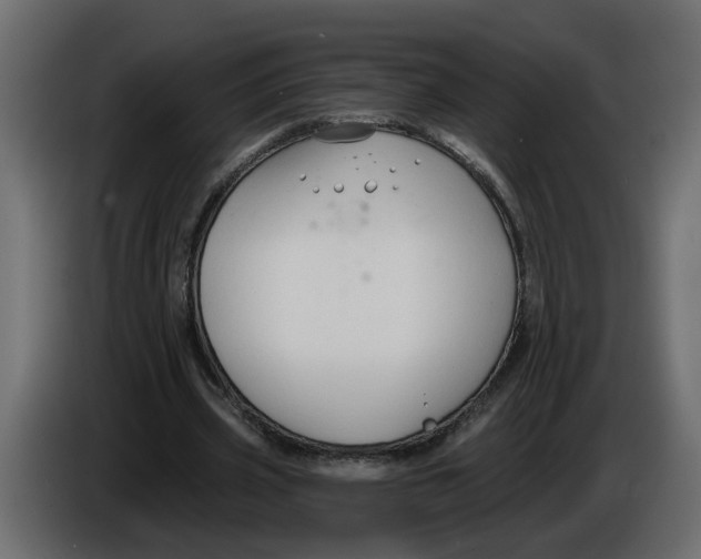 X0000086000533200704131807