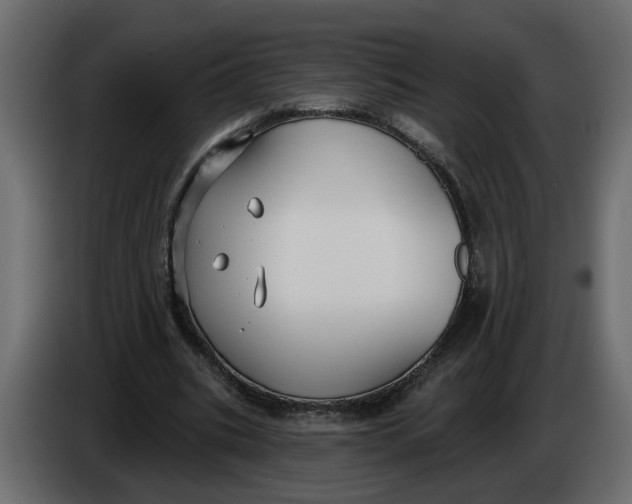 X0000086000535200704131807