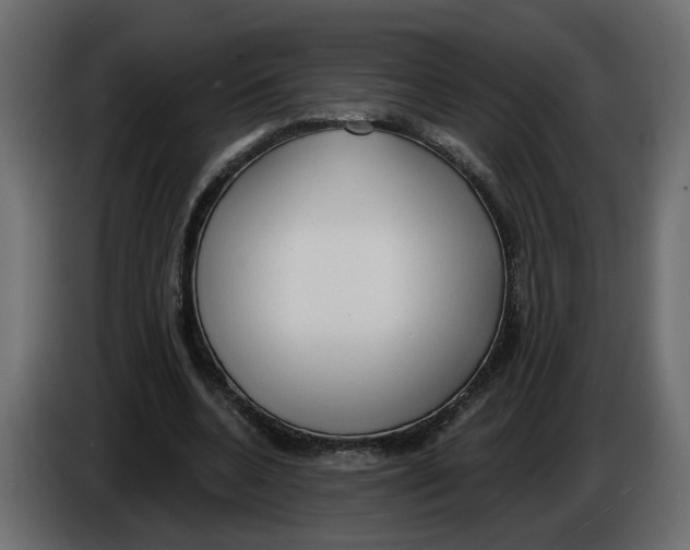 X0000086000536200704131807