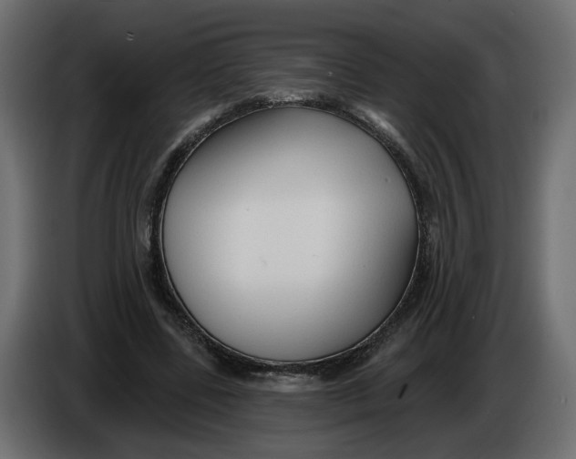 X0000086000539200704131807