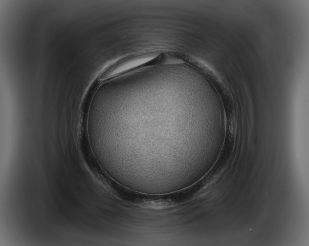 X0000086000540200704131807