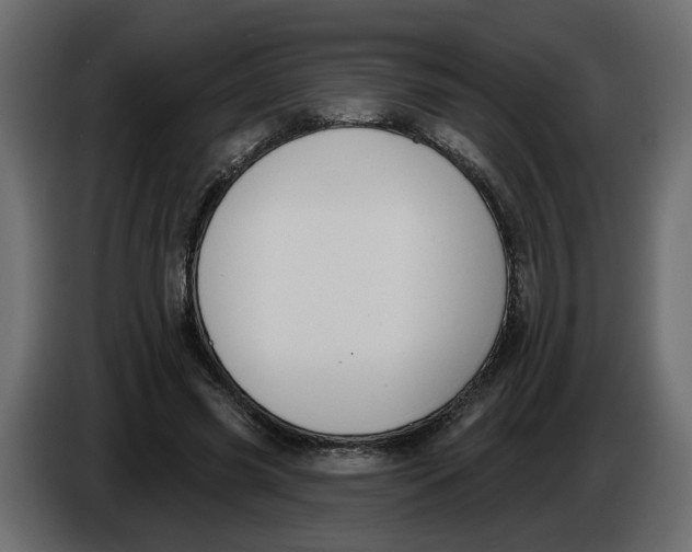 X0000086000541200704131807