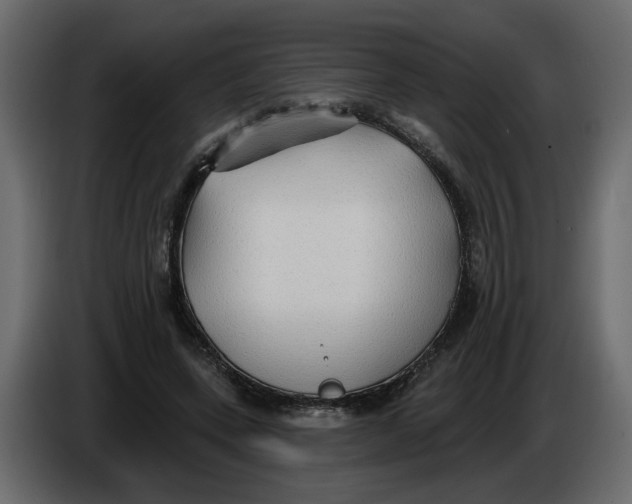 X0000086000543200704131807