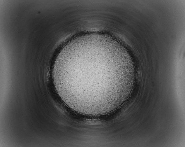 X0000086000544200704131807