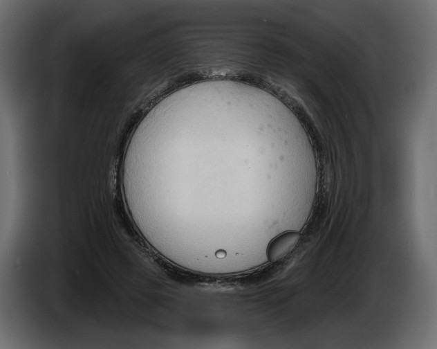 X0000086000545200704131807