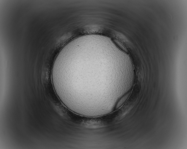 X0000086000546200704131807